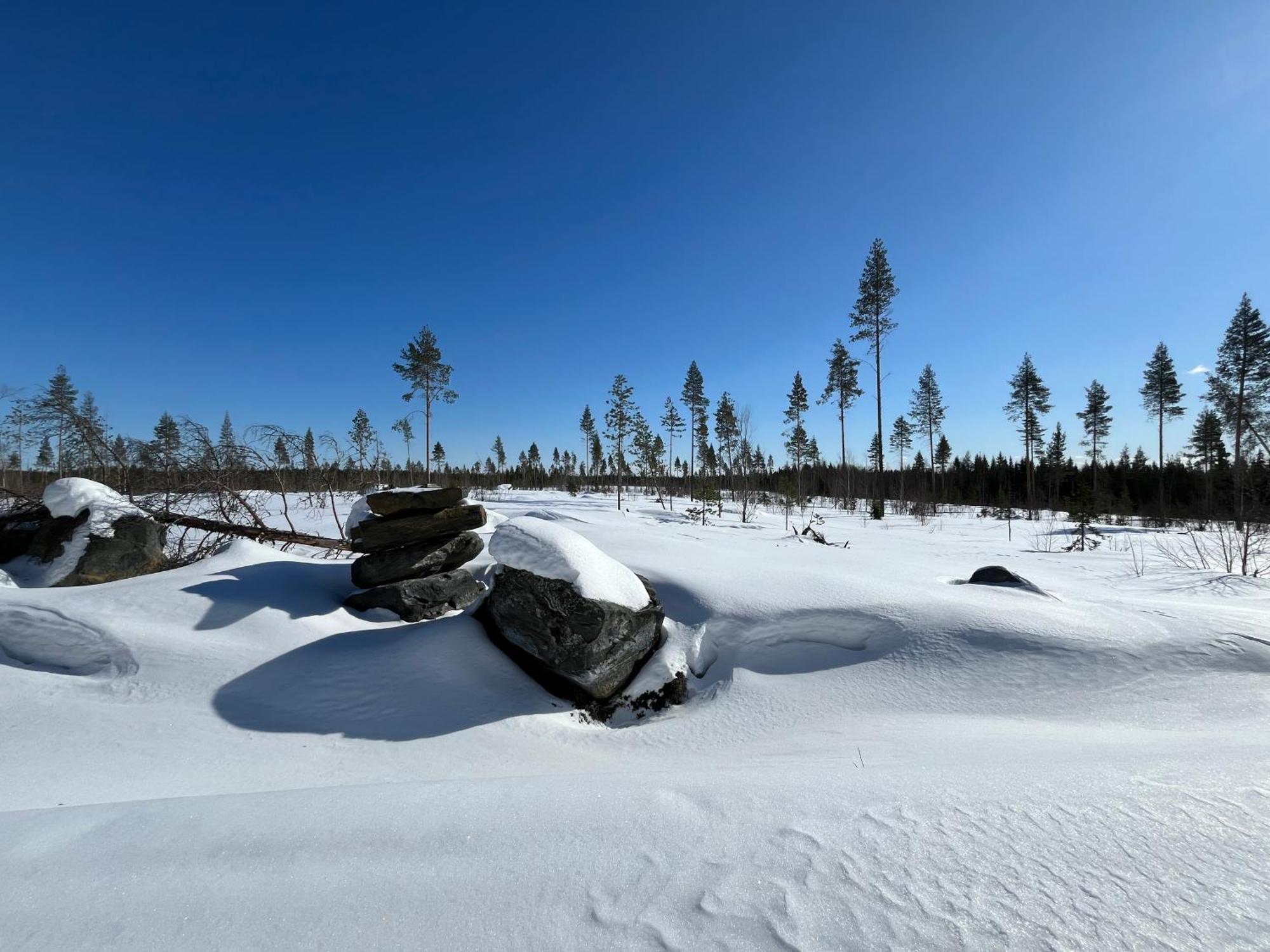 Log In 10 Min From Santa Claus Village-sauna&freeparking Rovaniemi