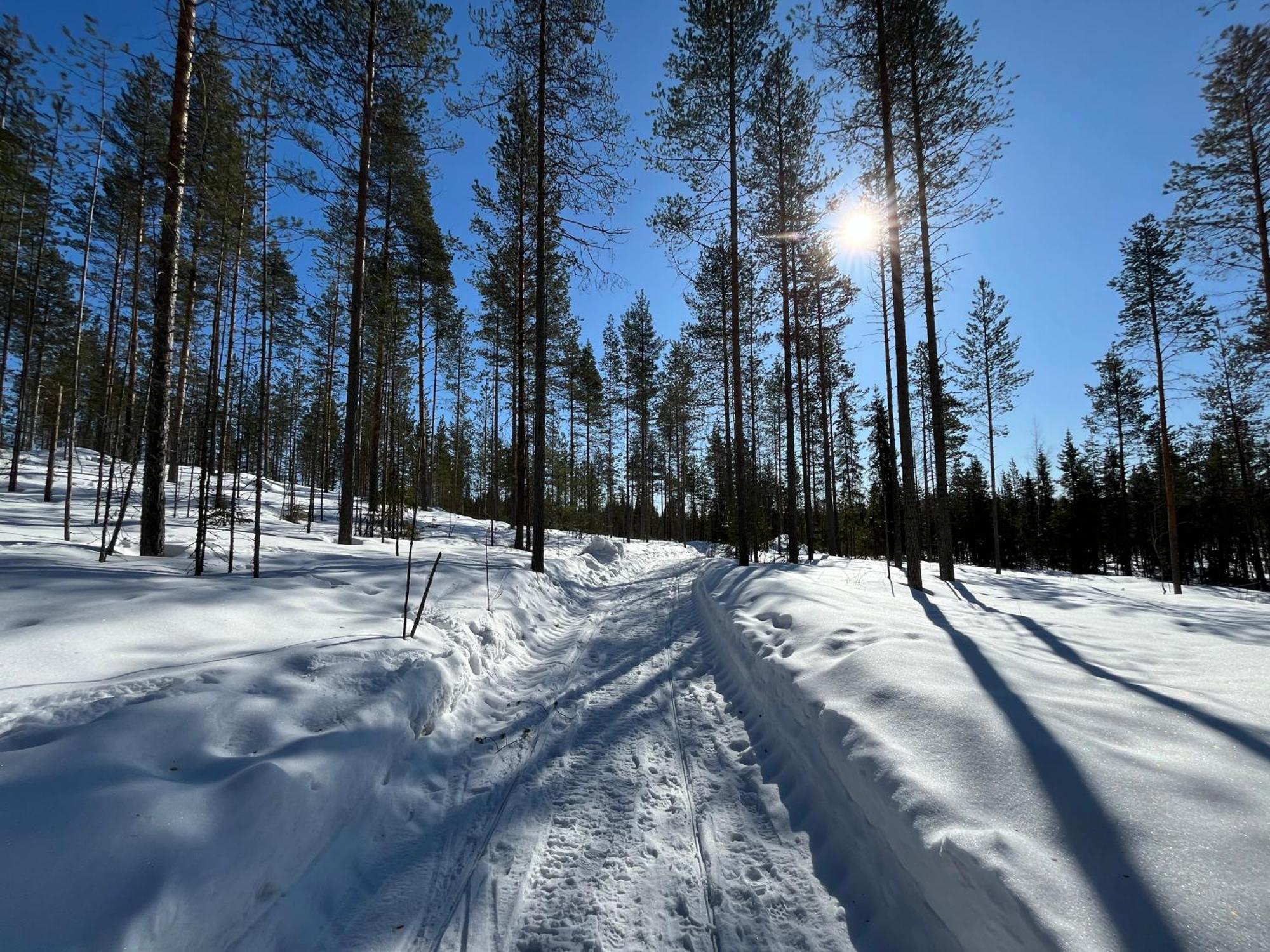 Villa Log In 10 Min From Santa Claus Village-sauna&freeparking *